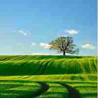 react 入​门​教‌程‍